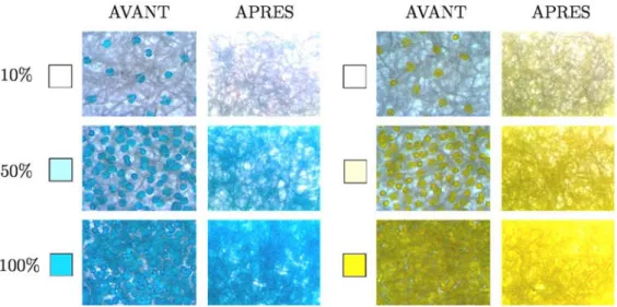 Figure 3.15 – Observation microscopique (x5) du nuancier avant et après diﬀusion de la cire.