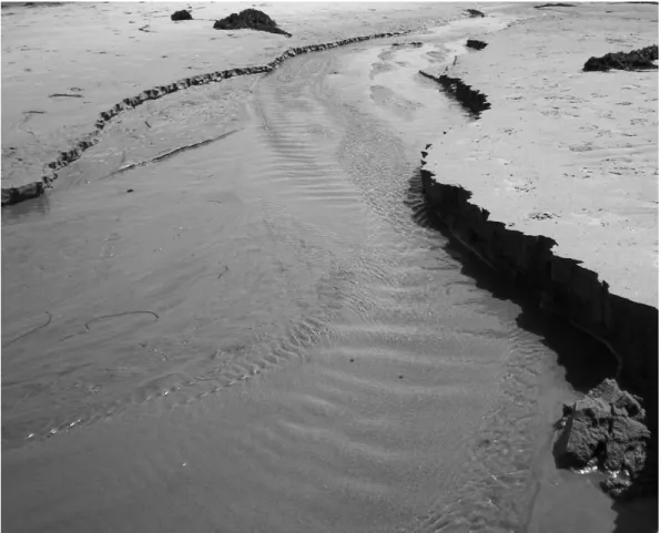 Fig. 2.4 – Micro-rivi`ere naturelle sur la plage de Goleta, Californie, USA. L’eau s’´ecoule du haut de la photographie vers le bas ; la largeur de la rivi`ere est de l’ordre du m`etre