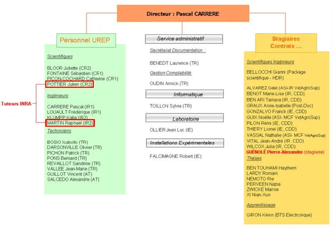 Figure 1 - Organigramme de fonctionnement de l'UREP[1] 