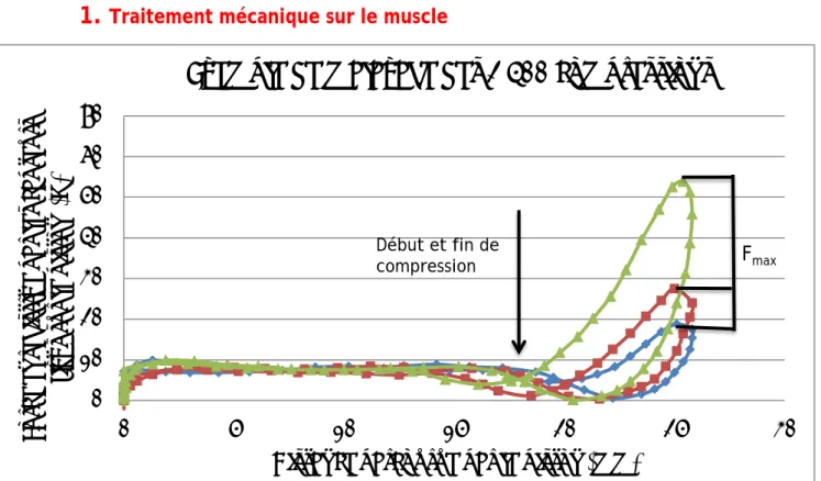 Figure 8 : Exemple de malaxage des 2 5000 compressions 