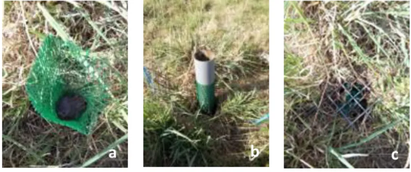 Figure 7 : Etapes de la mise en place d'un ingrowth-core 