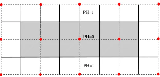 Figure 3.2 – Fonction de phase. Le domaine solide (gris) est caractérisé par PH=0, et le domaine fluide (blanc) est caractérisé par PH=1.