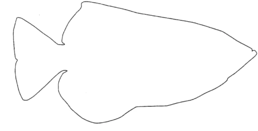 Figure  3-2:  Body trace  of an  archerfish