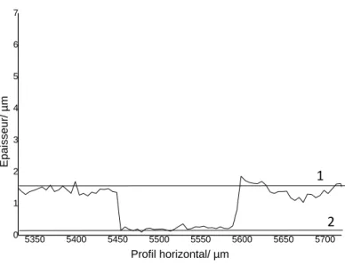 Figure 11. Profil obtenu par profilométrie d’une rayure sur un biofilm artificiel  