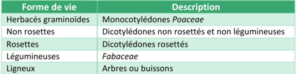 Tableau 4 : Formes de vies étudiées 