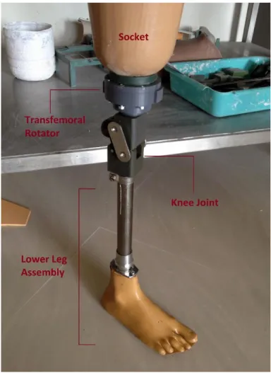 Figure  1.  FULLY  ASSEMBLED  PROSTHESIS,  SHOWING  PROPER  PLACEMENT  OF  A  TRANSFEMORAL  ROTATOR  AND  THE  STANFORD-JAIPUR  KNEE  FROM  THE  JAIPURFOOT ORGANIZATION (BMVSS).