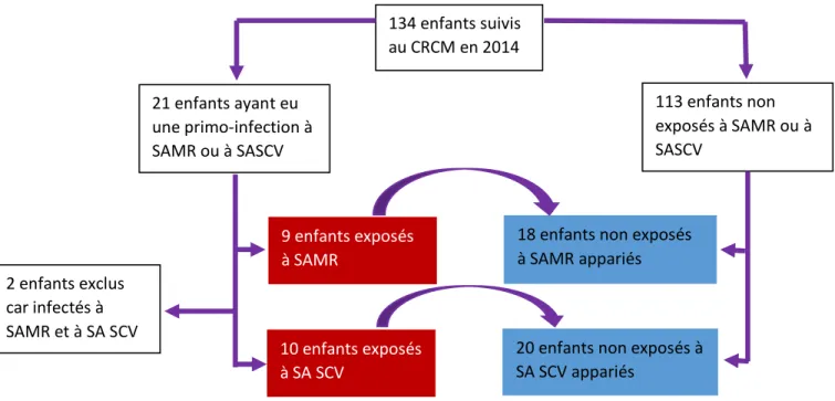 Figure 4 : Sélection des patients  10 enfants exposés à SA SCV 9 enfants exposés à SAMR 2 enfants exclus car infectés à SAMR et à SA SCV 