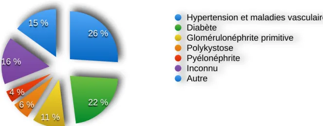 Figure 1. Répartitions des IRCT selon la maladie rénale initiale (13). 