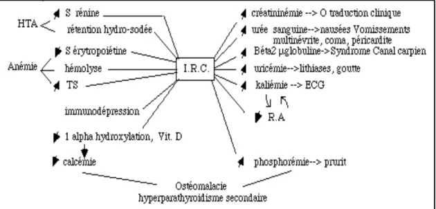Figure 2. Conséquences sur l’organisme de l’IRC (19). 