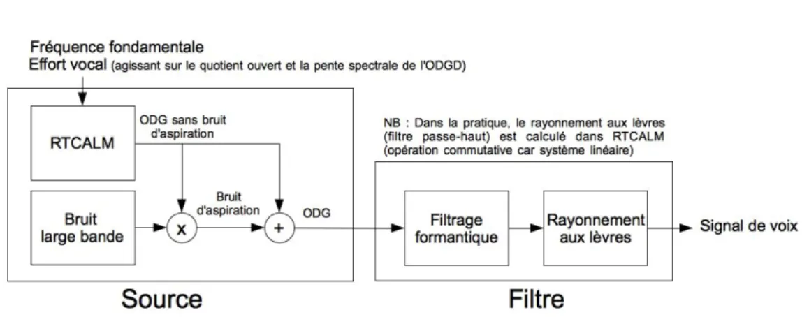 Figure 1.13 – Représentation simplifiée du modèle source-filtre du Cantor Digitalis