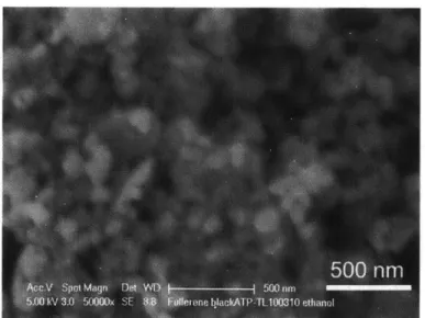 Figure  3-9.  SEM  image  of  monoclinic  LiMnBO 3  sintered  at  773  K. 7  Reproduced  with permission  from  J