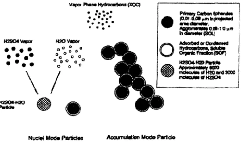 Figure  2.9:  Schematic representation of the diesel emission particles and formation stages [5].