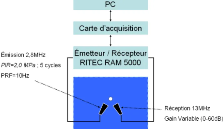 Tableau 1 : Paramètres de coque utilisés pour la  modélisation [13-15].   
