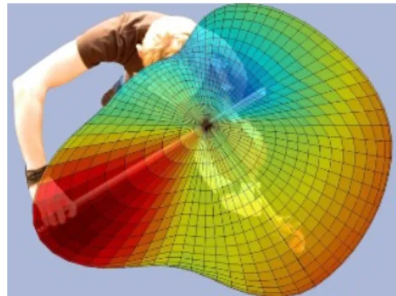 Figure 6 : source Gottfried K. Behler