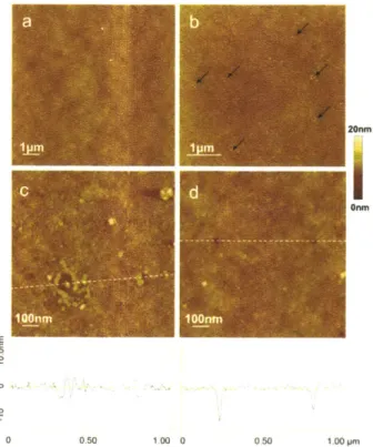 Figure 2-7.  AFM  images  of type  I  pores on  AM  and type II  pores  (Table 2-1)  on  HBA  synthesized  with solvent ethanol  and used  in the  induction time  study