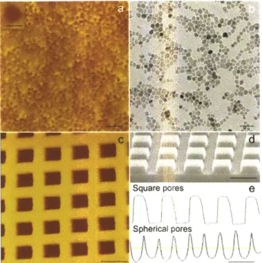 Figure 3-2.  Angular nanopores  on  AA-co-DVB  polymer films and  their templates.  (a) AFM  height image  of hexagonal  nanopores on  the polymer surface  templated  with  iron  oxide magnetic  nanocrystals  via NpIL