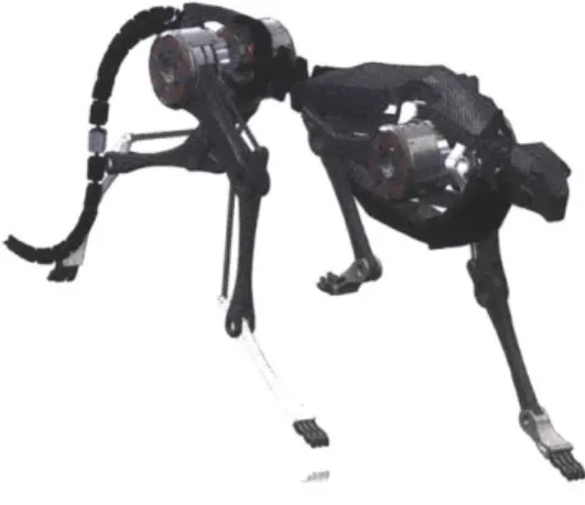 Figure  1-1:  Conceptual  model  of quadrupedal  robot  showing four legs,  compliant  spine  and tail.