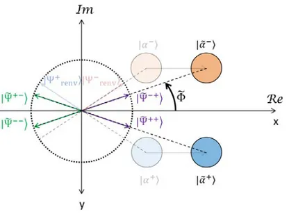 Figure II.14 – Décomposition des dipôles atomiques sur les états propres de la deuxième interaction résonnante