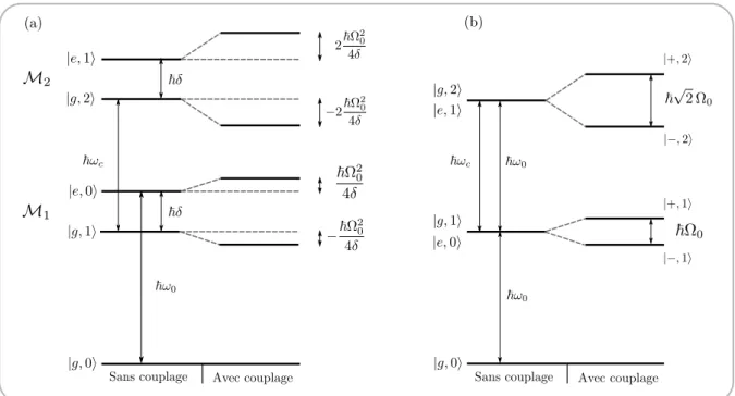 Figure I.22 – Mise en regard des diagrammes énergétiques correspondant au système atome-champ sous un régime dispersif (a) ou un régime résonant (b).