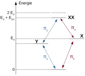 Figure 1.13 – Cascade radiative lors de la recombinaison d’une double paire ´ electron-trou.