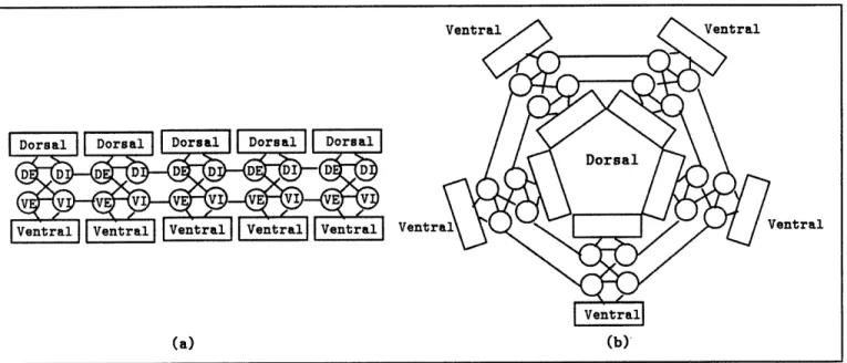 Figure 12:  A  digital  cell  bela.vior.  and  a.  l)rol)a.l)ilistic  generalization of it.