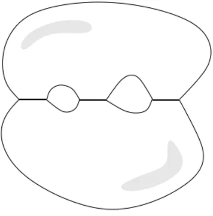 Fig. 3.2 – Exemple de courbe hyperelliptique avec 6 points de branchement. Elle forme une surface de genre 2.