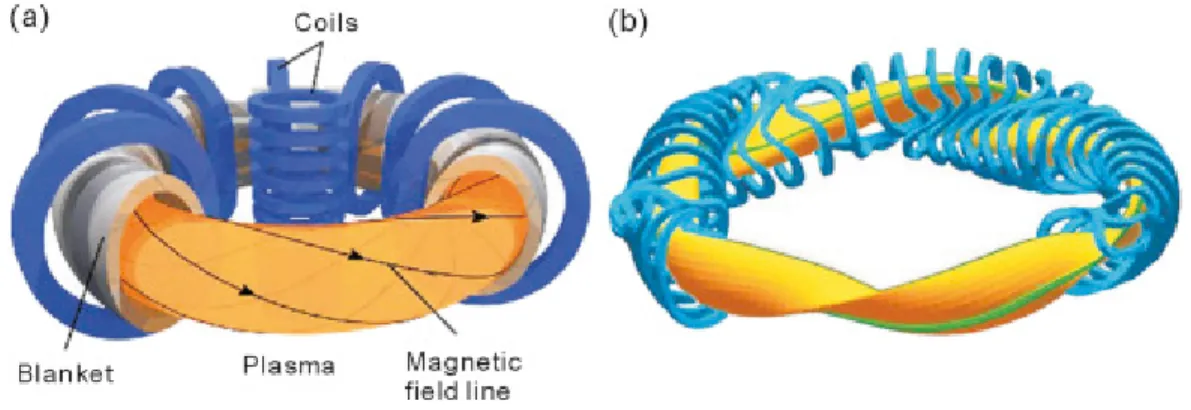 Figure 2-1: Schematics of magnet and plasma configurations in (a) tokamaks and (b) stellarators [1].