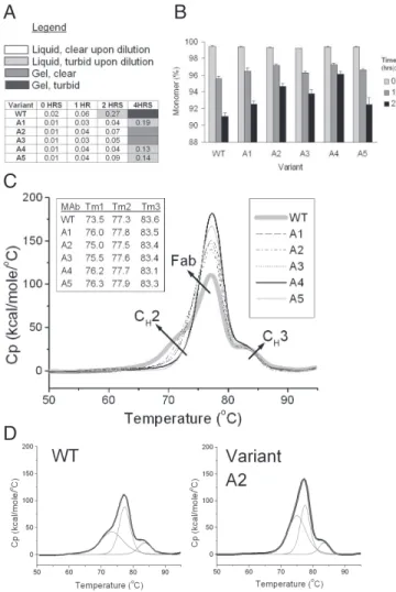 Fig. 4. Stability comparison of antibody B wild type and variants. (A) Turbidity assay