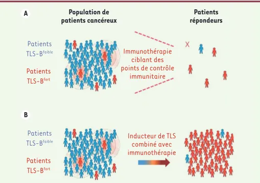 Figure 2.A. Analyse de la réponse aux traitements par les inhibiteurs de points de contrôle immunitaire  en fonction de la densité des structures lymphoïdes tertiaires chez les patients cancéreux