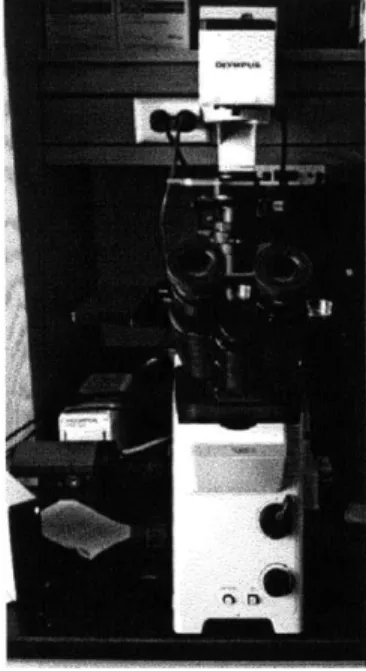Figure  (6.4) shows  the Olympus  microscope  used here.