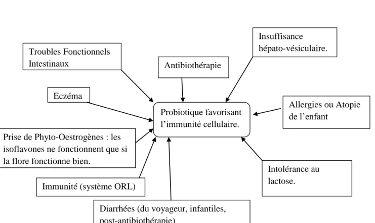 Figure 15 : Effets bénéfiques des probiotiques proTh1. 