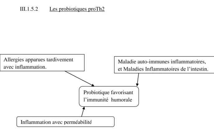 Figure 16 : Effets bénéfiques des probiotiques proTh2. 