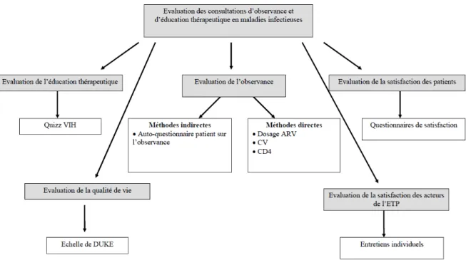 Figure 11 : Paramètres évalués lors des consultations d'ETP   en Maladies Infectieuses et Tropicales 
