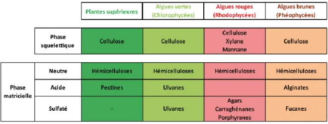 Tableau IG-1 : Principaux polysaccharides rencontrés dans la paroi des macro-algues et des  plantes supérieures (d’après Popper, 2010) 