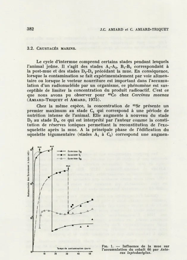 FIG.   1.  —  Influence  de  la  mue  sur  l'accumulation  du  cobalt  60  par  