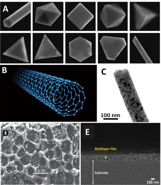 Figure 2 : (A) Images de microscopie électronique à balayage (MEB) de nanoparticules d’argent  ou d’or de formes différentes selon (11)