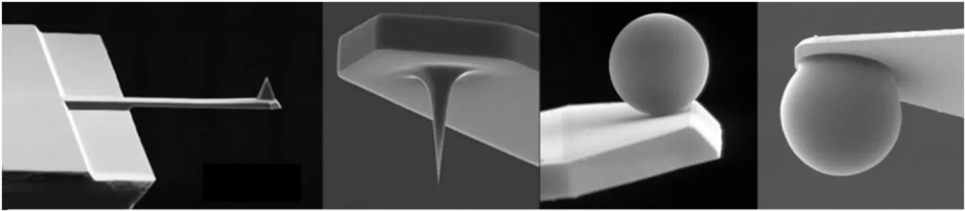 Figure 3 : Exemple de diverses pointes utilisables en AFM observées en MEB. 