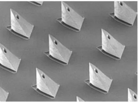 Figure 7 : Visualisation en MEB du système de microaiguilles « Micropyramid™ » de  NANOPASS TECHNOLOGIES