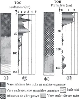 Fig. 2. – Évolution de la lithologie et du nombre de val- val-ves par g ( × 10 6 ) de sédiment sec le long de TOC et TOB.