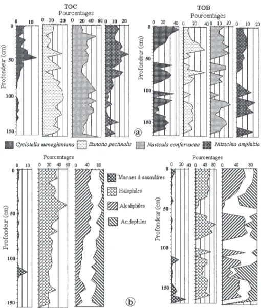 Fig. 3. – Évolution du pourcentage des principales espèces de Diatomées rencontrées (a) et des principaux groupes éco- éco-logiques de Diatomées selon la salinité et le pH (b) le long de TOC et TOB.