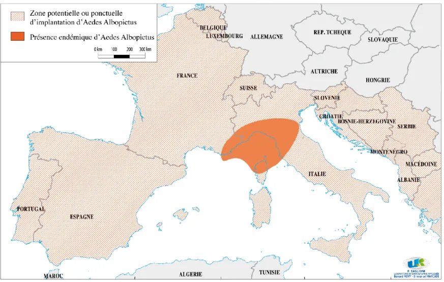 Figure 4. Localisation des Aedes Albopictus en Europe 