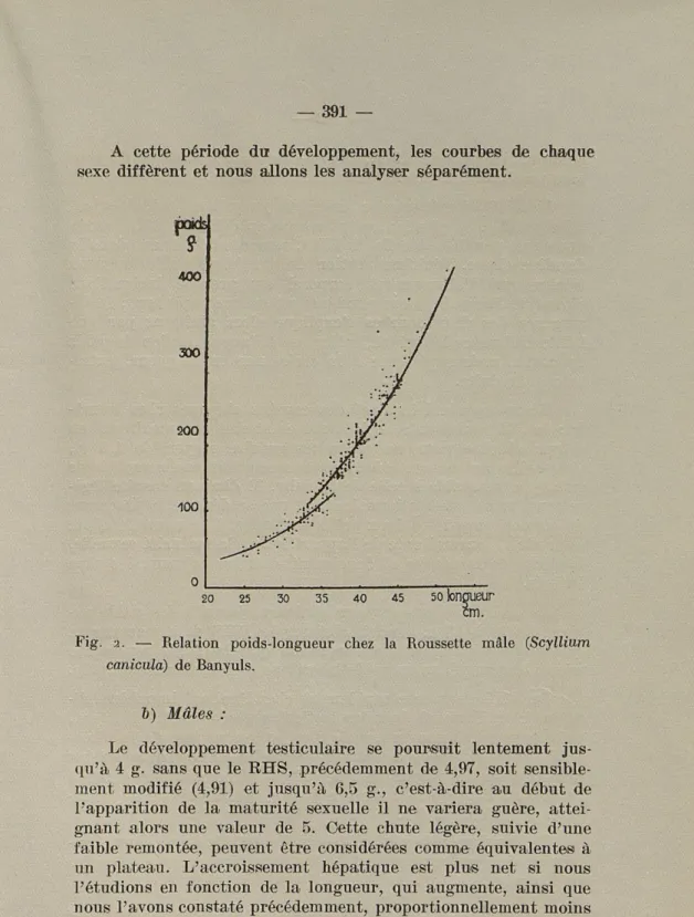 Fig.  2.  —  Relation  poids-longueur  chez  la  Roussette  mâle  (Scyllium  caniculà)  de  Banyuls