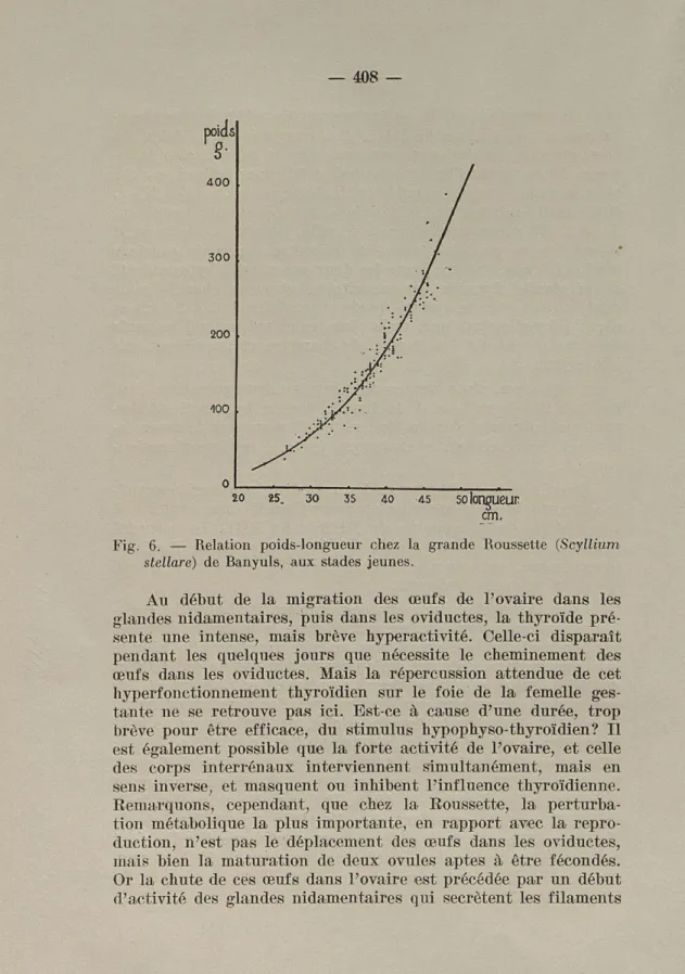 Fig.  6.  —  Relation  poids-longueur  chez  la  grande  Roussette  (Scyllium  stellare)  de  Banyuls,  aux  stades  jeunes