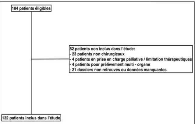Figure 1- Diagramme de Flux des patients inclus dans l'étude 