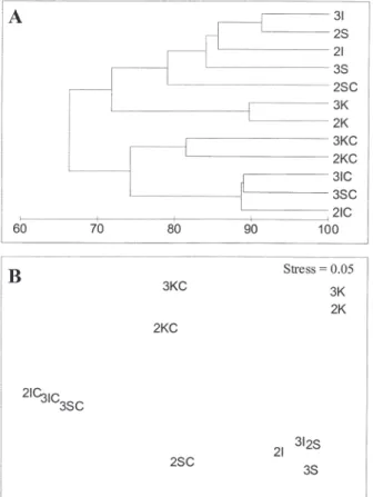 Fig. 4. – Dendrogram (A) for group average clustering and MDS (B) ordination of Bray-Curtis similarities  ba-sed on square root transformed taxon abundance data for the three areas investigated