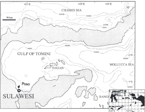 Fig. 1. – Poso Estuary in Sulawesi (Indonesia).