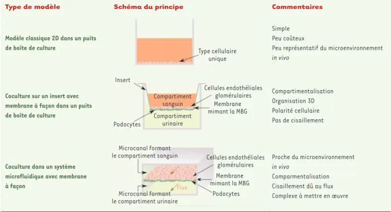 Figure 2. Les différents types de modèles de culture in vitro.