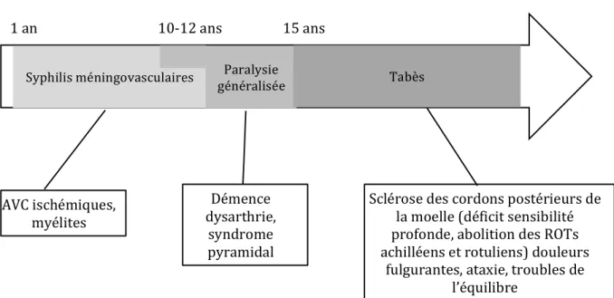 Figure 1 Evolution des formes neurologiques de la syphilis 