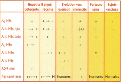 Tableau  VIII  Interprétation  de  biologie  dans  le  diagnostic  d’hépatite  B,  avec  l'autorisation  de  JP  BONNEMAIRE,  BIORLAB, Orléans 