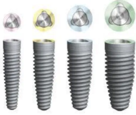 Figure 11 – Implants coniques Nobel Replace ®  (Nobel Biocare ® ).  